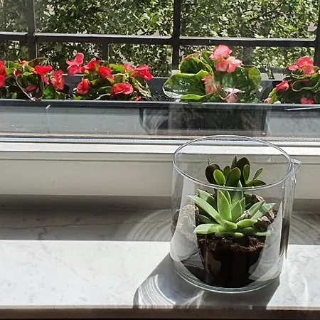 דירה Premium In Zentraler Lage Mannheims מאנהיים